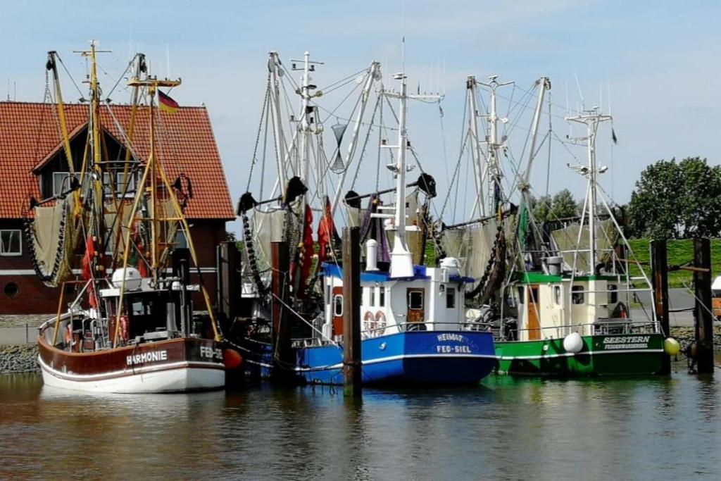 فيلا Am Kutterhafen 3 - Pier 3 Fedderwardersiel المظهر الخارجي الصورة